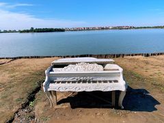 -武清南湖绿博园