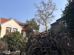 -颐和路民国时期公馆风貌区