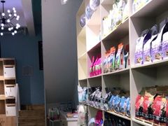 店内-老吴的猫·猫舍(新区店)