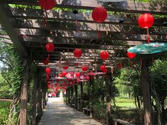 -白马涧龙池景区