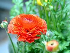 -碓臼峪自然风景区