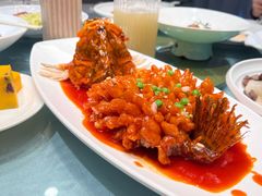 -同济大酒店(绿宝广场店)