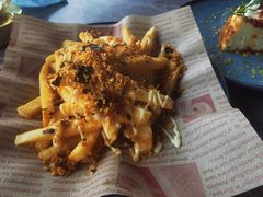 -Hi City·城市之巅