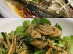 -民丰饭店(海丰黄江医院西)