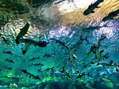 -波塞冬旅游度假区