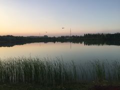 -香山公园