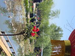 -同銮特种养殖场·龙虾垂钓