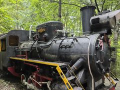 -五营红松林海景区