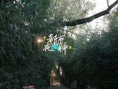 -千佛山风景名胜区