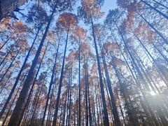 -河南省黄河迎宾馆