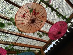 -茯茶镇