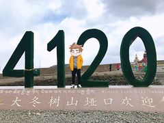 -大冬树山垭口