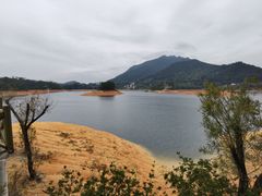 -广州市流溪河国家森林公园