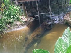 -热带雨林自然公园