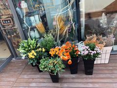 -ChaKo Flora ·茶子花艺 (市北店)