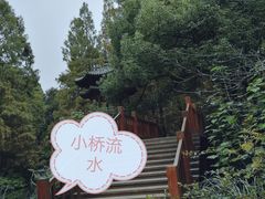 -湖畔居茶楼(湖滨店)