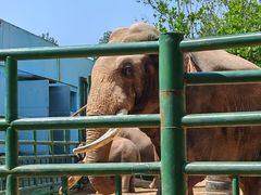 -秦皇岛野生动物园