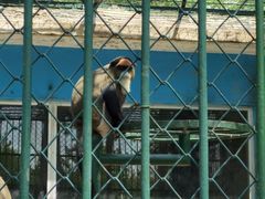 -秦皇岛野生动物园