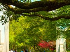 -灵顺寺