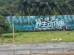 -深圳野生动物园