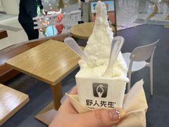 -野人先生Gelato(上海长宁龙之梦店)