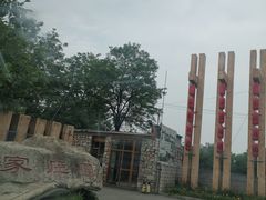 -食家鸽园