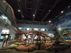 -自贡恐龙博物馆