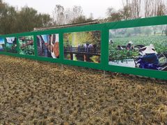 -溱湖国家湿地公园