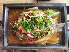 海鲈鱼-情蛙里(平沙钰海万国汇店)