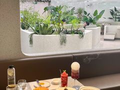 -大树餐厅(大悦城店)