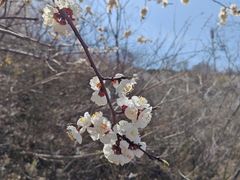 -封龙山风景区