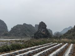 -钟山水墨田园