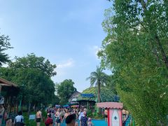 -苏州乐园森林水世界