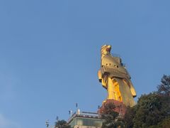 -大金鹰园
