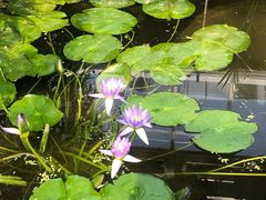 -国家植物园南园