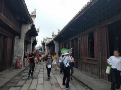 -洪湖生态旅游区