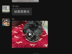 -柏萃动物医院·骨科·牙科
