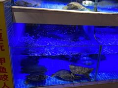 -王捌小院(红花坡店)