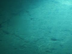 -白鹤梁水下博物馆