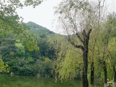 -九如山休闲旅游度假区