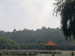 -南国桃园旅游度假区