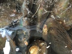 -浪琴湾尾角仔海鲜坊