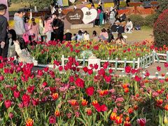 -铁山坪森林公园