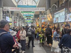 -西归浦每天偶来市场