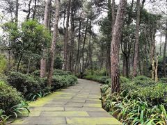 -铁山坪森林公园