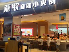 -龍歌自助小火锅(市南金茂湾店)