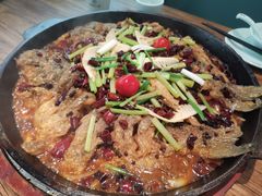 -老板恋上鱼(印象城店)