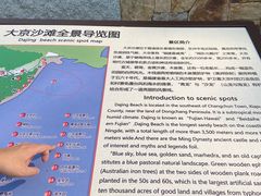 -大京沙滩