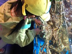 -蟹之国·精品蟹料理(极地店)