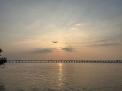 -宝安西湾红树林湿地公园